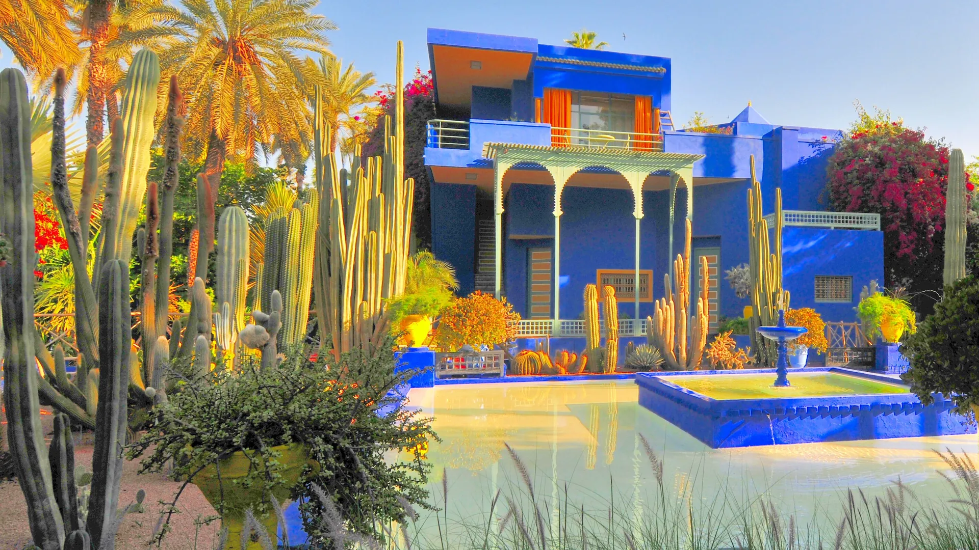 The blue Cubist villa of the Majorelle Garden across a still pool, with palms, tall cacti, bougainvillea and yellow flowerpots around it